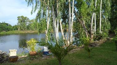 Lakeside property (fishing possible)