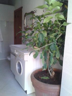 Holiday Apartment in Bucine (Arezzo) or holiday homes and vacation rentals