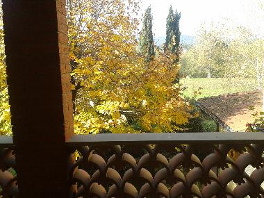 Holiday Apartment in Bucine (Arezzo) or holiday homes and vacation rentals