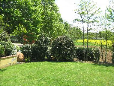 Holiday Apartment in Bucine (Arezzo) or holiday homes and vacation rentals