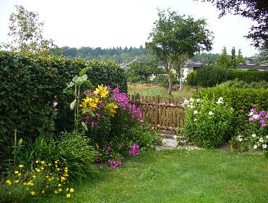Holiday Apartment in Holtsee (Ostsee-Festland) or holiday homes and vacation rentals