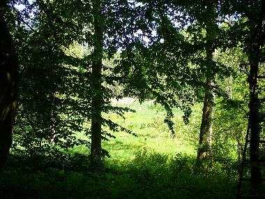 Holiday Apartment in Holtsee (Ostsee-Festland) or holiday homes and vacation rentals
