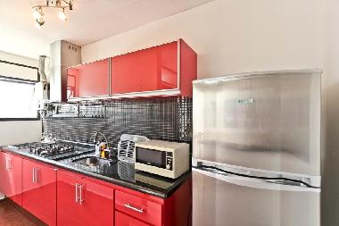 Holiday Apartment in ipanema (Rio de Janeiro) or holiday homes and vacation rentals