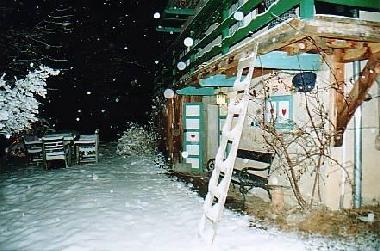 Chalet in Chatel (Haute-Savoie) or holiday homes and vacation rentals