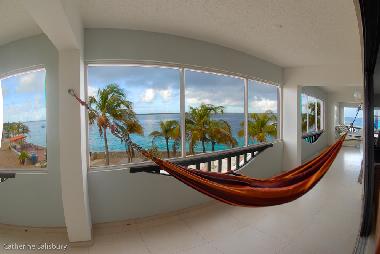 A great place for an afternoon snooze.