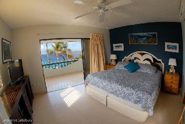 The master bedroom looks out on the ocean below. Air conditioning, ceiling fans and ensuite bathroom