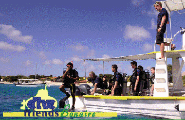 The shore diving right in front of the resort is great but a boat trip to Klein Bonaire completes yo