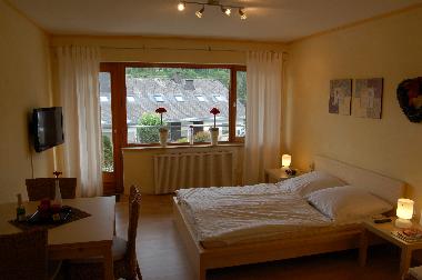 Holiday Apartment in Willingen (Waldecker Land) or holiday homes and vacation rentals