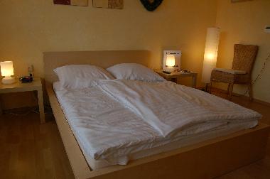 Holiday Apartment in Willingen (Waldecker Land) or holiday homes and vacation rentals