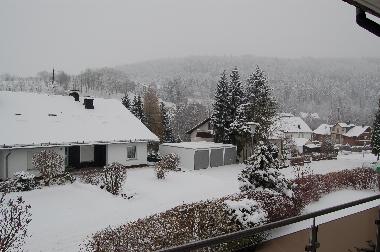 Holiday Apartment in Willingen (Waldecker Land) or holiday homes and vacation rentals