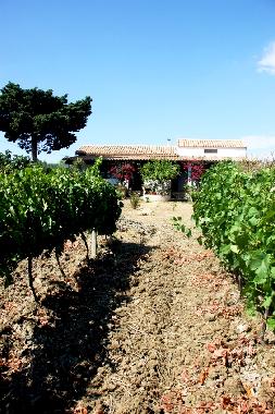 Holiday Apartment in Menfi (Agrigento) or holiday homes and vacation rentals