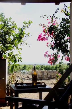 Holiday Apartment in Menfi (Agrigento) or holiday homes and vacation rentals