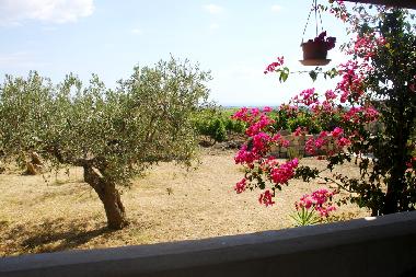 Holiday Apartment in Menfi (Agrigento) or holiday homes and vacation rentals