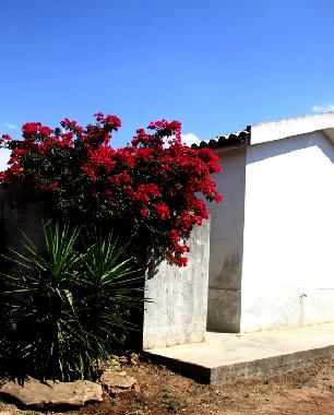 Holiday Apartment in Menfi (Agrigento) or holiday homes and vacation rentals