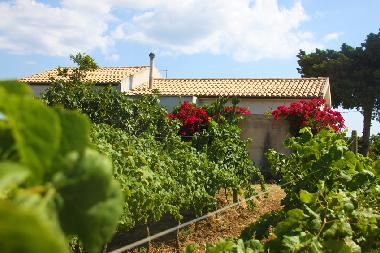 Holiday Apartment in Menfi (Agrigento) or holiday homes and vacation rentals