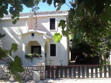 Holiday Apartment in Pag , Mandre (Zadarska) or holiday homes and vacation rentals