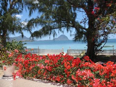 Sea view and mountain view from the veranda