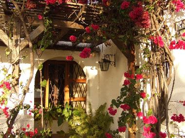 Tropical flowers all year round