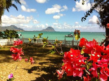 Sea view from your veranda, overlooking Le Morne mountain