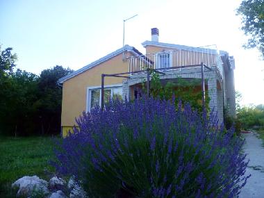 Holiday Apartment in Pula (Istarska) or holiday homes and vacation rentals