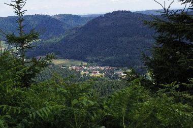 Holiday Apartment in Baiersbronn-Obertal (Black Forest) or holiday homes and vacation rentals