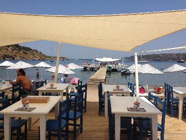 Villa in gundogan (Mugla) or holiday homes and vacation rentals