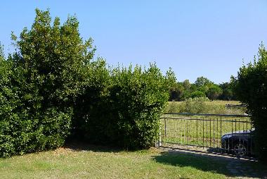 Holiday House in Marina di Castagneto (Livorno) or holiday homes and vacation rentals