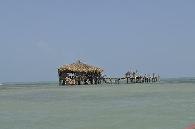 boat trip to the Pelican bar