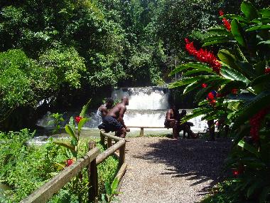 trip to the YS Falls
