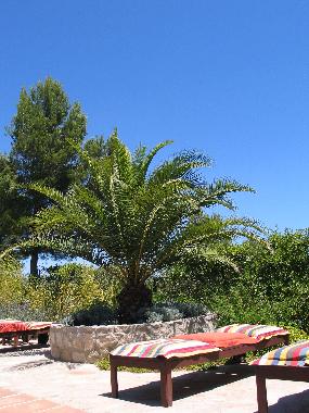 Villa in L'Ametlla de Mar (Tarragona) or holiday homes and vacation rentals