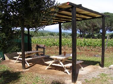 Villa in Gavorrano (Grosseto) or holiday homes and vacation rentals