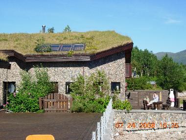beachhouse with grassroof