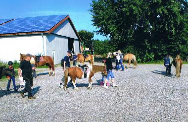 Holiday Apartment in Dagebll (Nordsee-Festland) or holiday homes and vacation rentals