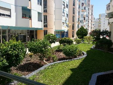 Well cared garden just outside the main door
