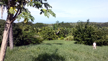 Holiday House in Puerto Coyote (Guanacaste) or holiday homes and vacation rentals