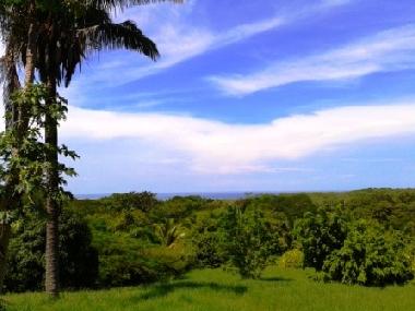 Holiday House in Puerto Coyote (Guanacaste) or holiday homes and vacation rentals