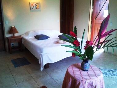 Holiday House in Puerto Coyote (Guanacaste) or holiday homes and vacation rentals