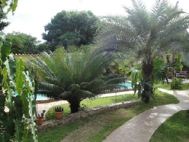 Holiday House in Paraguachi (Nueva Esparta) or holiday homes and vacation rentals