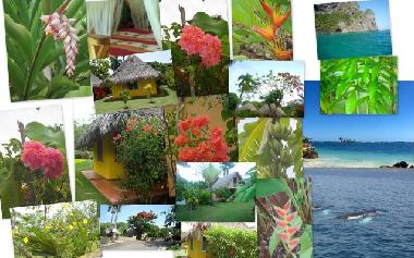 Villa in las galeras (Samana) or holiday homes and vacation rentals