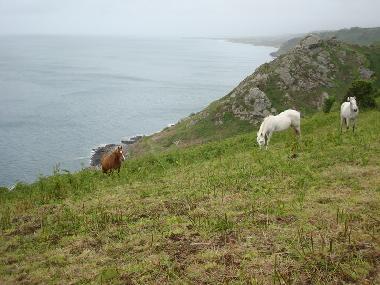 Holiday House in GREVILLE HAGUE (Manche) or holiday homes and vacation rentals