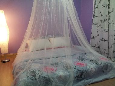 Master room for 2pax-King size bed