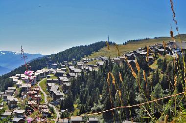 Holiday Apartment in Bettmeralp (Bettmeralp) or holiday homes and vacation rentals