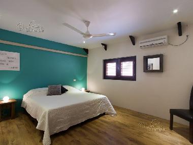 Holiday Apartment in Kralendijk (Bonaire) or holiday homes and vacation rentals