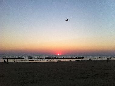 Chalet in CHIPIONA (Cdiz) (Cdiz) or holiday homes and vacation rentals