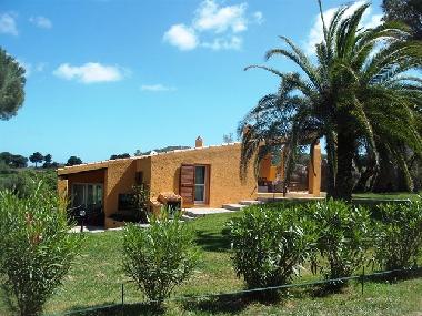 Holiday House in Baja Sardinia (Sassari) or holiday homes and vacation rentals