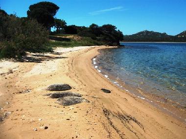 Holiday House in Baja Sardinia (Sassari) or holiday homes and vacation rentals