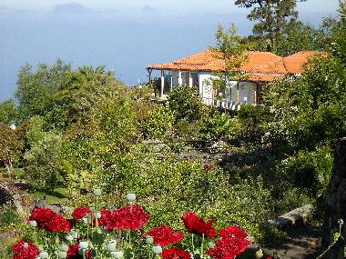 Villa in Tijarafe (La Palma und El Hierro) or holiday homes and vacation rentals