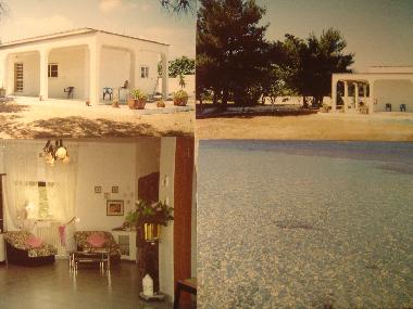 Bed and Breakfast in OSTUNI-S.Vito- (Lecce) or holiday homes and vacation rentals