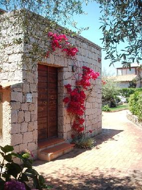 Holiday House in Baja Sardinia (Olbia-Tempio) or holiday homes and vacation rentals