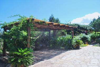 Holiday House in Baja Sardinia (Olbia-Tempio) or holiday homes and vacation rentals